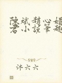 陈斌赵心媚高婉君小说笔趣阁封面