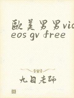 欧美男男videos gv free