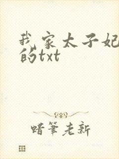 我家太子妃超凶的txt