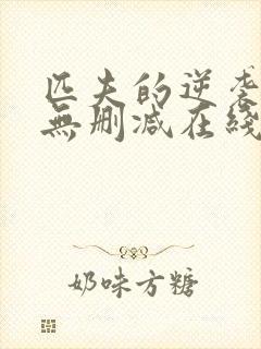 匹夫的逆袭小说无删减在线阅读封面