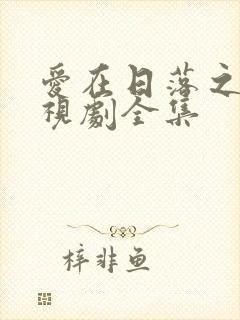 爱在日落之前电视剧全集