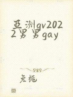 亚洲gv2022男男gay
