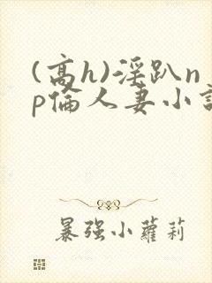 (高h)淫趴np伦人妻小说
