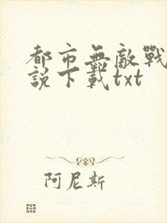 都市无敌战神小说下载txt封面