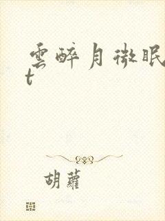 云醉月微眠txt封面