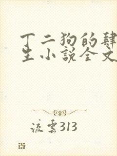 丁二狗的肆意人生小说全文免费