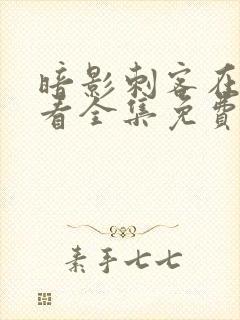 暗影刺客在线观看全集免费播放