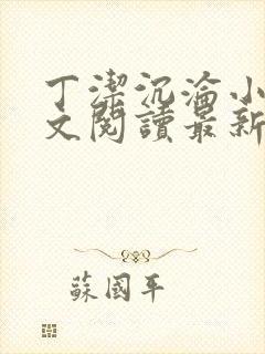 丁洁沉沦小说全文阅读最新章节更新