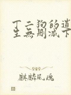 丁二狗的逍遥人生无删减下载