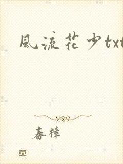 风流花少txt封面