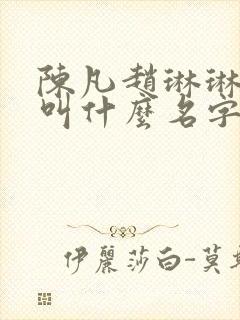 陈凡赵琳琳小说叫什么名字来着