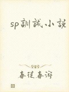 sp训诫小说封面