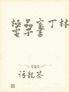 极品家丁林晚荣电子书