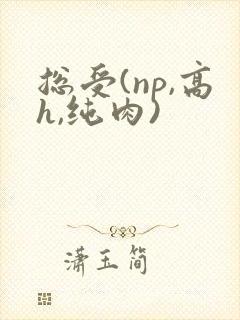 总受(np,高h,纯肉)封面
