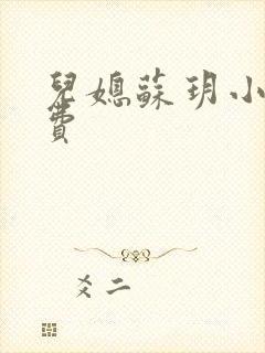 儿媳苏玥小说免费