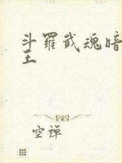 斗罗武魂暗影君王