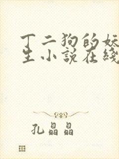 丁二狗的妖孽人生小说在线阅读