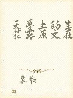 天台上的生金银花露原文在线阅读