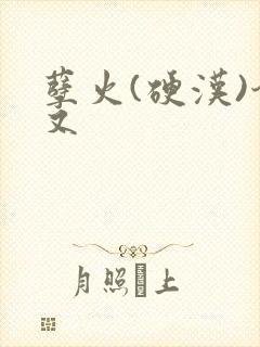 孽火(硬汉)今又