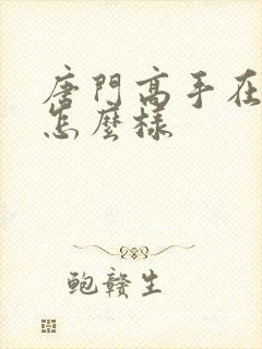 唐门高手在异世怎么样