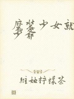 魔装少女就是本少爷