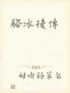 骆冰后传封面