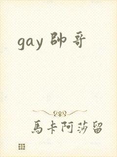 gay 帅哥