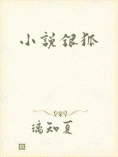 小说银狐