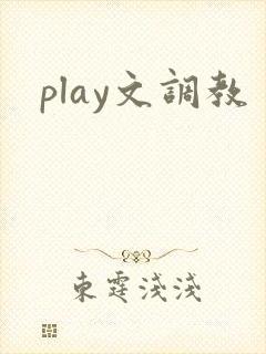 play文调教