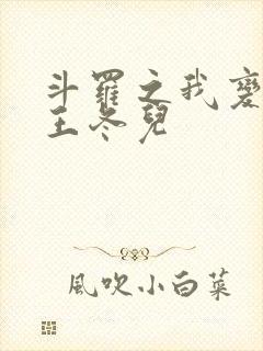 斗罗之我变成了王冬儿