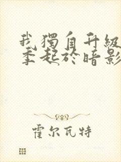 我独自升级第二季起于暗影观看