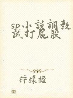 sp小说调教训诫打屁股