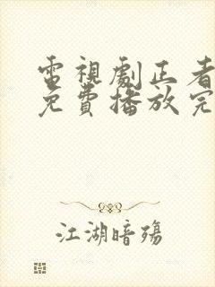 电视剧正者无敌免费播放完整版全集