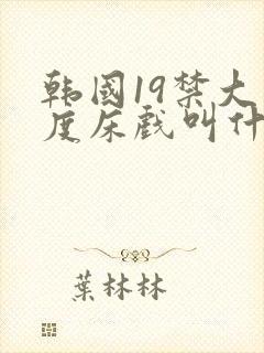 韩国19禁大尺度床戏叫什么