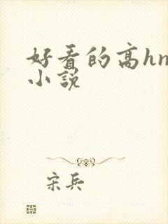 好看的高hnp小说封面