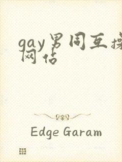 gay男同互操网站封面