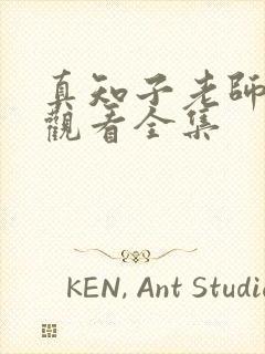 真知子老师免费观看全集