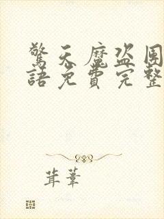 惊天魔盗团2国语免费完整版