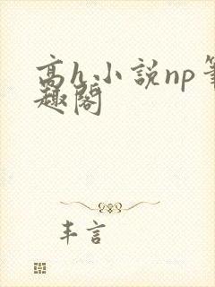 高h小说np笔趣阁