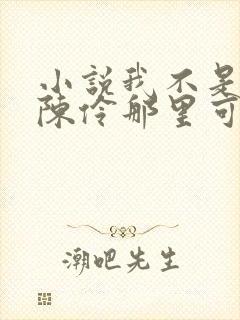 小说我不是戏神陈伶那里可以看