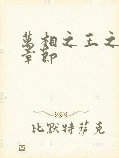 万相之王之最新章节