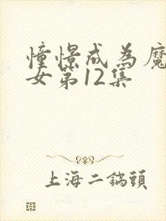 憧憬成为魔法少女第12集