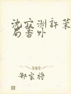 沈寂洲许茉大结局番外