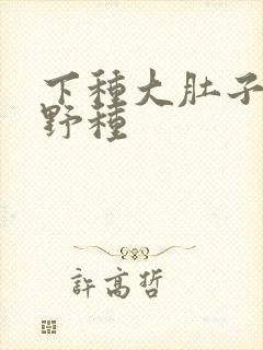 下种大肚子怀孕野种