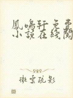 凤鸣轩免费言情小说在线阅读