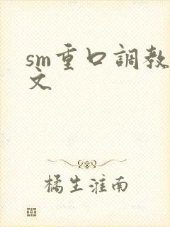 sm重口调教h文封面
