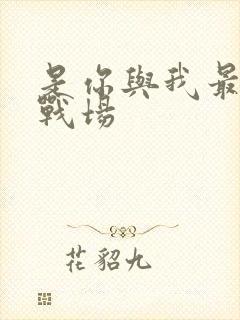 是你与我最后的战场封面