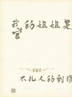 我的姐姐是女法官封面