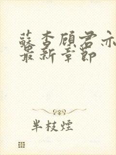 苏杳顾君亦小说最新章节