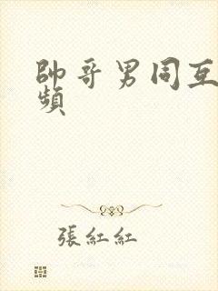 帅哥男同互操视频封面